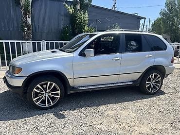 степ эреф 1: BMW X5: 2003 г., Кроссовер — 5