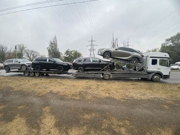 продаю связи с переездом: Чиркегич, Унаа ташыгыч — 7