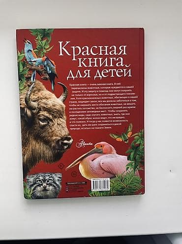 Детские книги: Книга: «Красная книга для детей. Редкие животные России» Автор: Сергей — 5