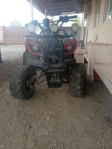 тандем гурзовой: Квадроцикл утилитарного типа, красный, полноразмерная рама — 3