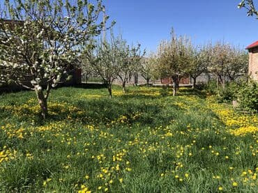 нижный аларча участок: 8 соток, Для строительства, Красная книга — 5