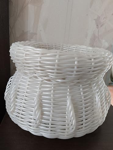 светы комнатный: Монстера вариегатная (Monstera deliciosa variegata) в горшке. - — 7