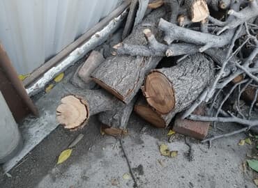 дрова фруктовые: Отун Өзү алып кетүү — 1