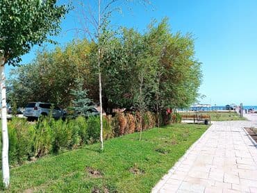 дачи на иссык куле: Коттедж, ASIAPALAC ЦО Карвен 4 сезона, Сары-Ой, Детская площадка, Парковка, стоянка, Охраняемая территория — 11