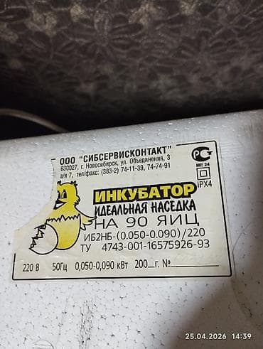 ош мышык: Продаю инкубатор идеальная наседка в идеальном состоянии,,,,,,торг — 3