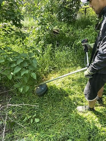 Аймактарды жыйнап тазалоо: Аймактарды жыйнап тазалоо, Газон чабуу — 7