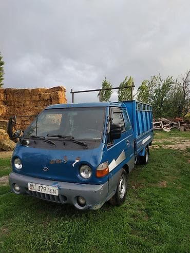 thermo king: Легкий грузовик, Hyundai — 2