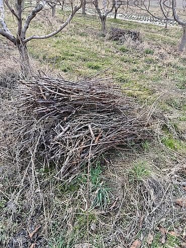 Отун: Отун — 2