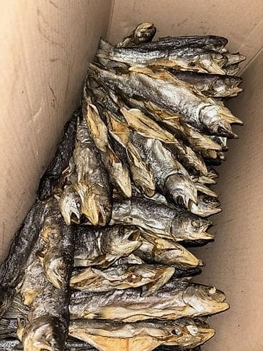 кун свет: Вяленая форель (целая, потрошённая) - Натуральная вяленая форель — 1