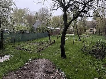 4 соток, Для бизнеса, Красная книга