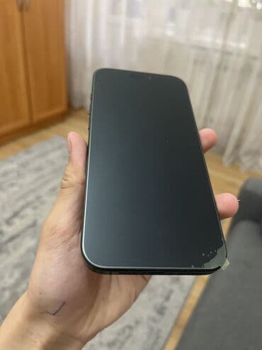 камера телефона: IPhone 16 Pro Max, Б/у, 256 ГБ, Black Titanium, Кабель, Коробка, Чехол, 100 % — 5
