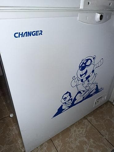 Морозильный ларь CHANGER BC/BD(W)-227C - Тип: горизонтальный