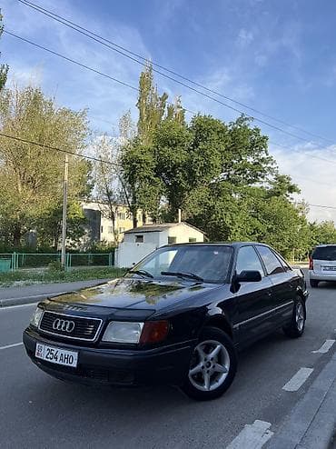 глушитель тюнинг: Audi 100: 1992 г., 2.3 л, Механика, Бензин, Седан — 1