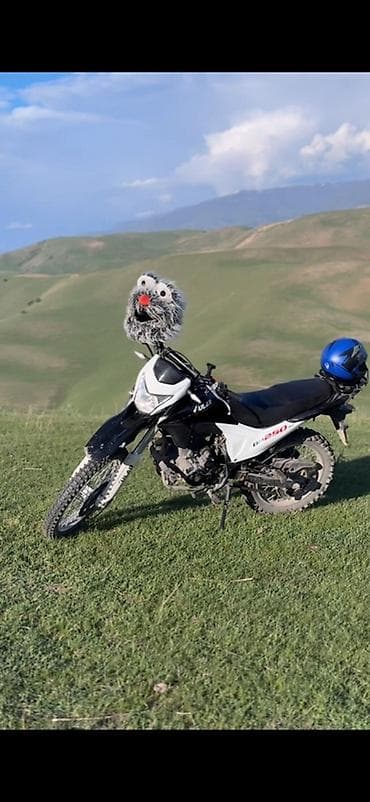 400 куб: Эндуро 250 куб. см, Бензин, Взрослый — 2