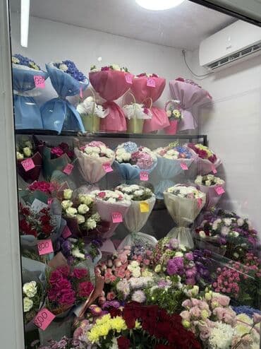 куплю дом в кок жаре: Золотой Квадрат Продается действующий,прибыльный Цветочный — 1