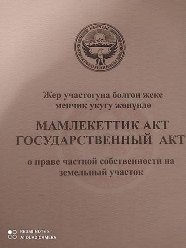 Жер тилкелери: 430 соток, Бизнес үчүн, Кызыл китеп — 2