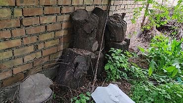 Үй жана бакча: Отун Өзү алып кетүү — 3