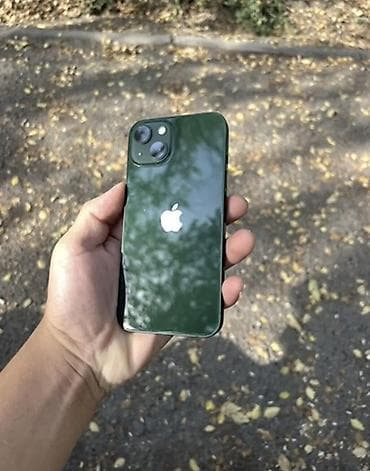 IPhone 13, Б/у, Зеленый, Чехол, 100 %
