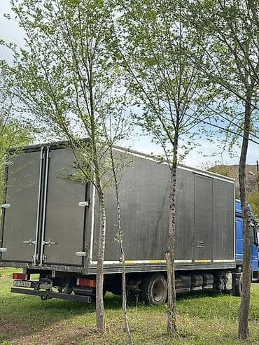 shkoda rapid: Грузовик, Mercedes-Benz — 3