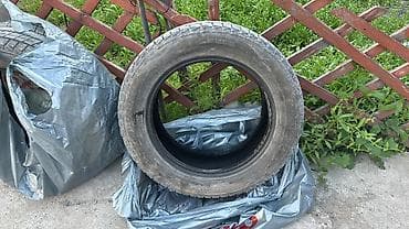 abs e39: Зимняя шина Gislaved Nord*Frost 200 Размер: 225/60 R17 Тип — 2