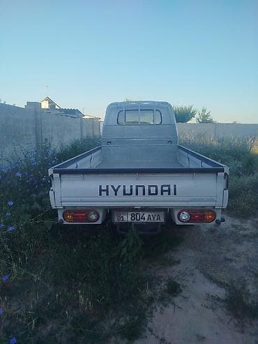 чанган уни к: Жеңил жүк ташуучу унаа, Hyundai, Стандарт, 3 т, Жаңы — 7