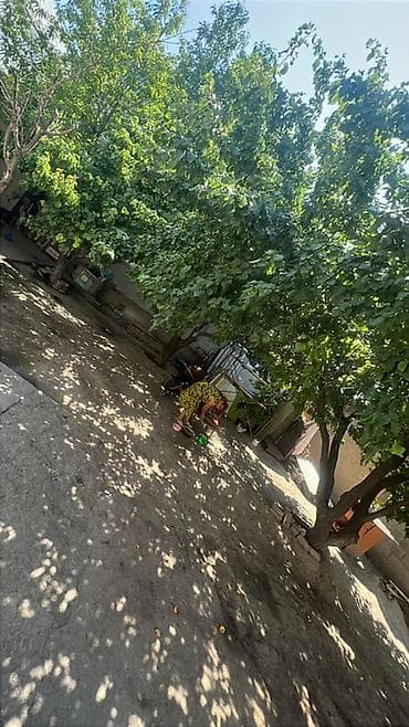 Недвижимость: Дом с большим тенистым двором - Отдельный жилой дом с верандой и — 3