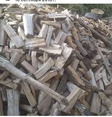 дрова сухие: Дрова — 1