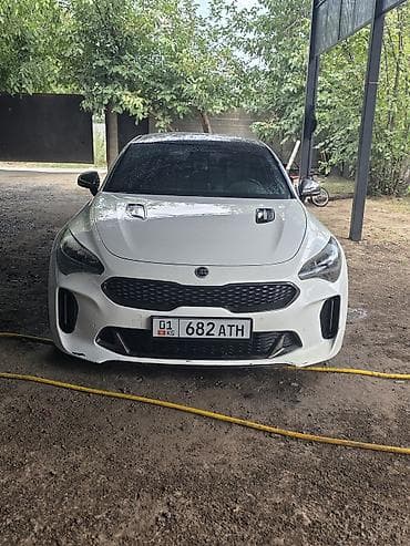 will cypha: Kia Stinger: 2018 г., 0.2 л, Автомат, Бензин, Универсал — 1