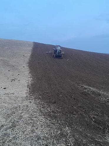 Тракторы МТЗ (Беларус): Трактор колесный МТЗ-50/80 (ориентировочно) с кабиной - Дизельный — 7