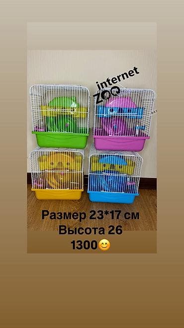 шамал сай: У нас большой выбор клеток для кроликов, ежей, морских — 10