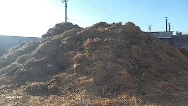 опилки токмок: Солома навалом адрес ж/м Алтын-Казык улица 0 дом 29 бесплатно — 2