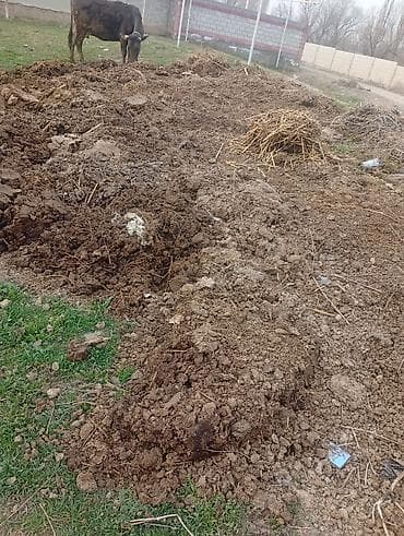 Дом и сад: Перепревший навоз/компост для огорода и сада - Органический навоз — 2