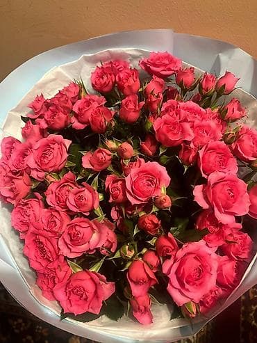 Букеты из игрушек: 🔥Срочна сатылат🌸 Шикарные кустовые розы Жаңы, идеал абалда 💐 💰 Баасы — 1