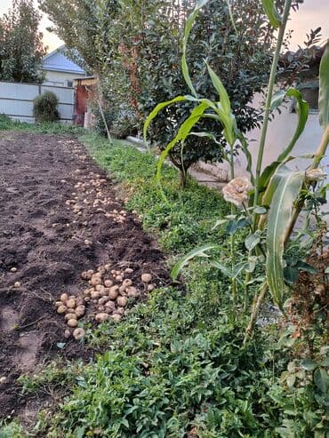 отдам в расрочку: Дом, 150 м², 6 комнат, Собственник, Евроремонт — 29