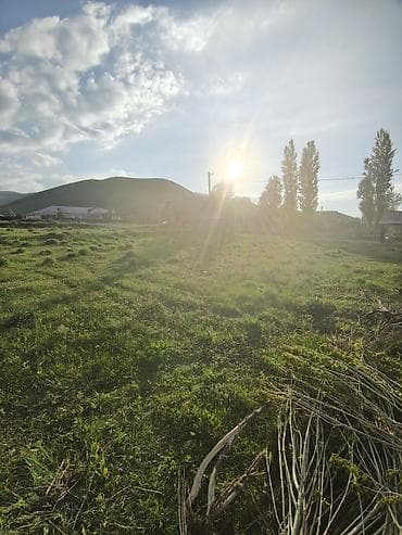 земля в беловодске: 5 соток, Красная книга — 9