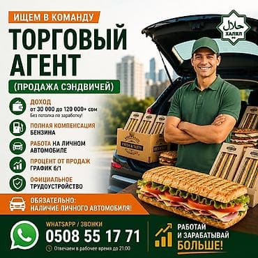 Талап кылынат Соода агенти, Иш тартиби: Алты күндүк, Тажрыйбасы бир жылдан аз, Расмий жумушка орноштуруу, Толук жумуш күнү