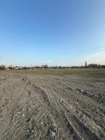 Жер тилкелери: 280 соток, Бизнес үчүн, Кызыл китеп, Белек келишими — 7