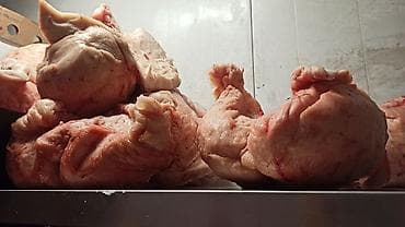 отходы для животных: Предлагается сырой животный жир в виде кусков. Продукт имеет — 3