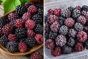 Продукты питания: Ежевика В розницу — 2