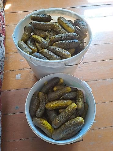 Продукты питания: Огурцы — 7