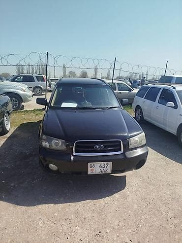 step spada: Subaru Forester: 2003 г., Автомат, Бензин, Кроссовер — 1