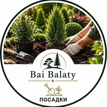 ландшафт: Ландшафтные услуги Bai Balaty - Ландшафтный дизайн: разработка — 8