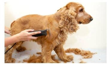 камиры: Машинка для стрижки волос — 3