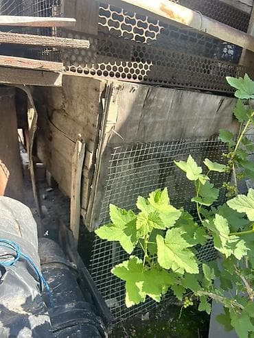 Металлические перфорированные листы и сетка-рабица/сетка из