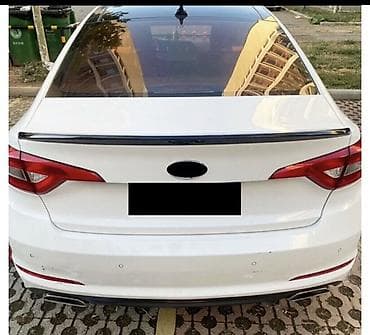 оса: Задний спойлер Hyundai — 2