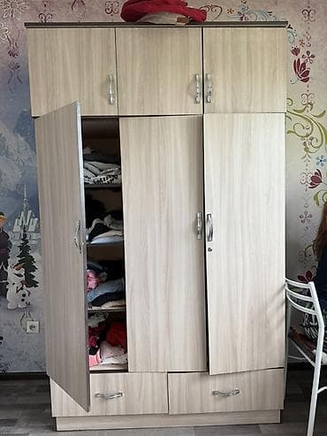 Буфеты: Шифоньер, шкаф для одежды, Прямой, ЛДСП — 1