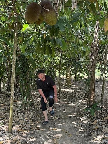 хамер авто: Honda Stepwgn: 2000 г., 2 л, Автомат, Минивэн — 10