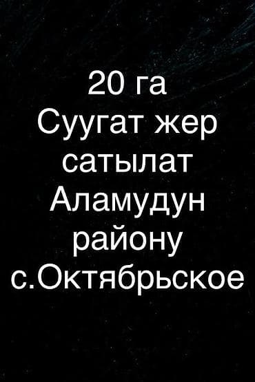аренда гараж кудайберген: 2000 соток, Айыл чарба үчүн, Сатып алуу-сатуу келишими — 2