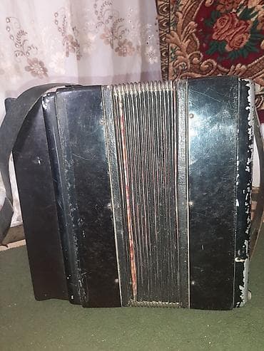 гитаа: Баян кнопочный, классическая двухрядная модель с правой и левой — 3