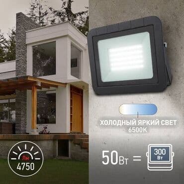 Светодиодные прожекторы PRO LPR-061-0-65K-050 50Вт Прожектор